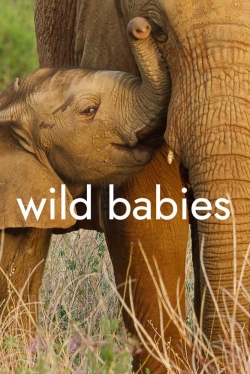 Wild Babies-online-free