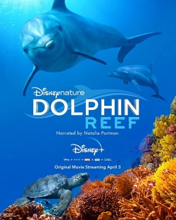 Dolphin Reef-online-free
