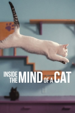 Inside the Mind of a Cat-online-free