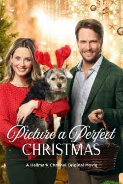 Picture a Perfect Christmas-online-free