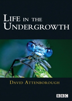 Life in the Undergrowth-online-free