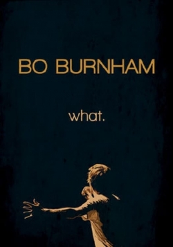 Bo Burnham: What.-online-free