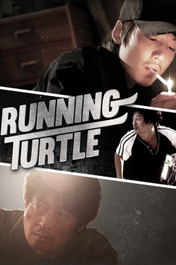 Running Turtle-online-free