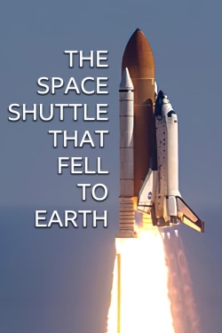 The Space Shuttle That Fell to Earth-online-free