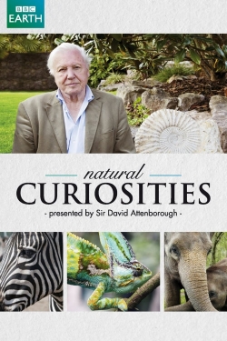 David Attenborough's Natural Curiosities-online-free