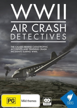 WWII Air Crash Detectives-online-free