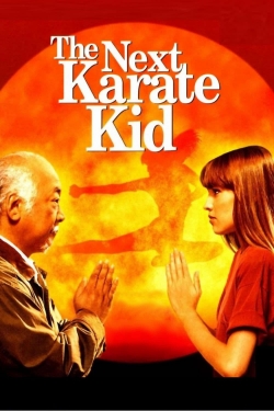 The Next Karate Kid-online-free