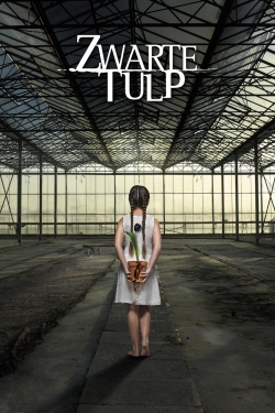Black Tulip-online-free