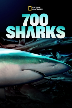 700 Sharks-online-free
