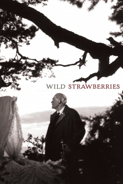 Wild Strawberries-online-free