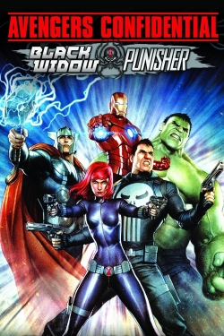 Avengers Confidential: Black Widow & Punisher-online-free