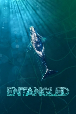 Entangled: The Race to Save Right Whales from Extinction-online-free