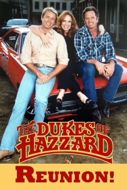 The Dukes of Hazzard: Reunion!-online-free