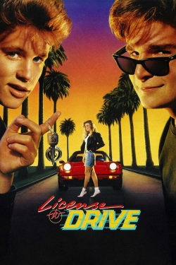 License to Drive-online-free