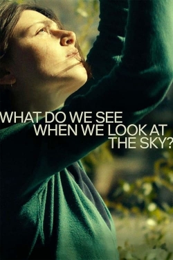 What Do We See When We Look at the Sky?-online-free