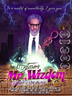 The Mysterious Mr. Wizdom-online-free