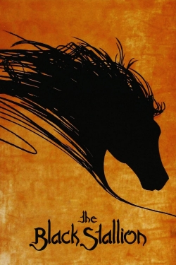 The Black Stallion-online-free
