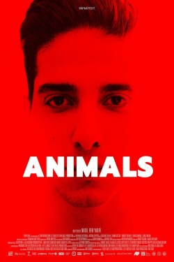 Animals-online-free