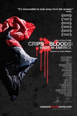 Crips and Bloods: Made in America-online-free