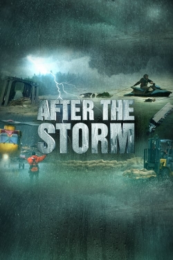 After the Storm-online-free
