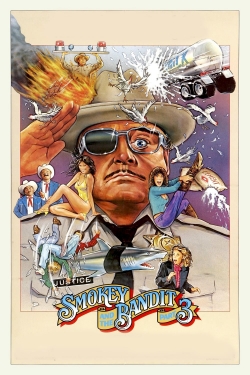 Smokey and the Bandit Part 3-online-free