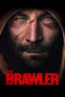 The Brawler-online-free