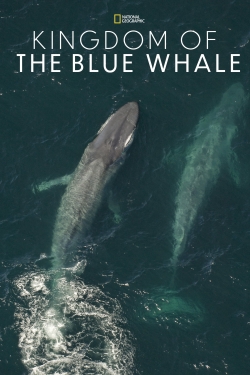 Kingdom of the Blue Whale-online-free