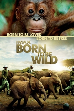 Born to Be Wild-online-free