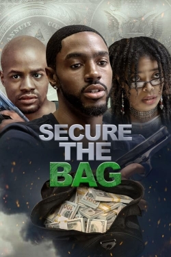 Secure the Bag-online-free