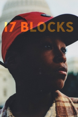 17 Blocks-online-free
