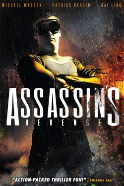 Assassins Revenge-online-free