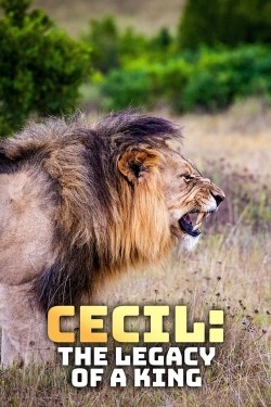 Cecil: The Legacy of a King-online-free