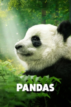 Pandas-online-free