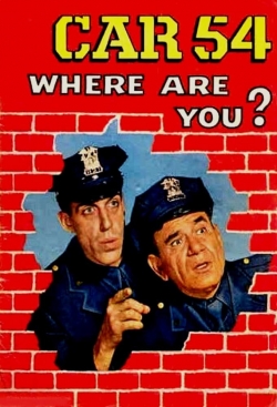 Car 54, Where Are You?-online-free