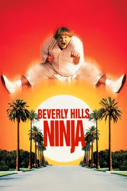 Beverly Hills Ninja-online-free