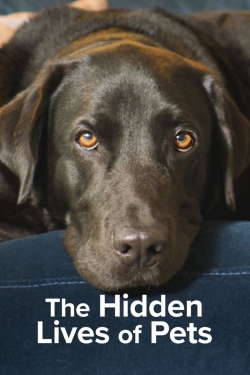 The Hidden Lives of Pets-online-free