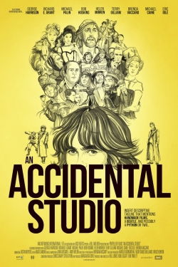 An Accidental Studio-online-free