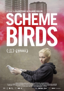 Scheme Birds-online-free