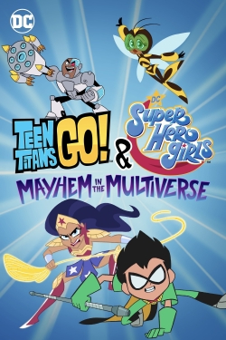 Teen Titans Go! & DC Super Hero Girls: Mayhem in the Multiverse-online-free