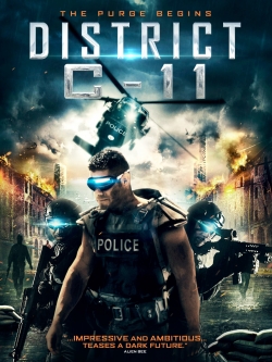 District C-11-online-free