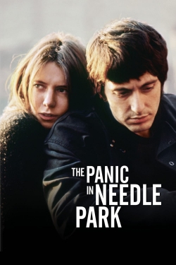 The Panic in Needle Park-online-free