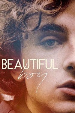 Beautiful Boy-online-free