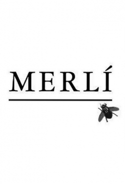 Merlí-online-free