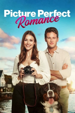 Picture Perfect Romance-online-free