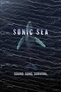 Sonic Sea-online-free