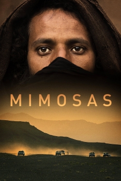 Mimosas-online-free