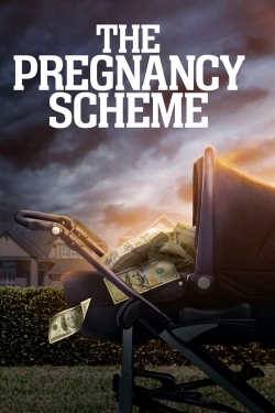 The Pregnancy Scheme-online-free