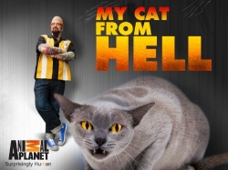 My Cat from Hell-online-free