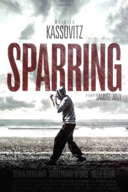 Sparring-online-free