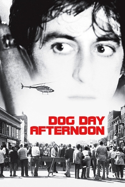 Dog Day Afternoon-online-free